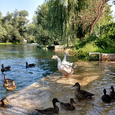 Tatil Evi Liberte *